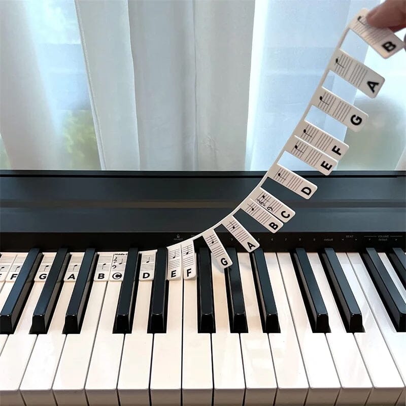 🎁Removable Piano Keyboard Note Labels