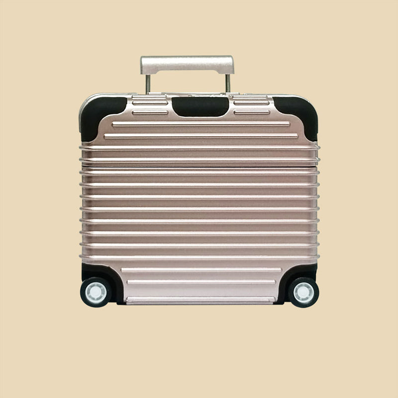 Funny Luggage Earphones Case