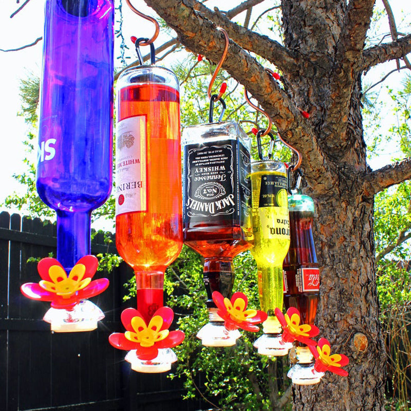 Hummingbird Feeder Kit