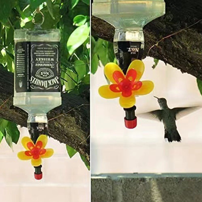 Hummingbird Feeder Kit