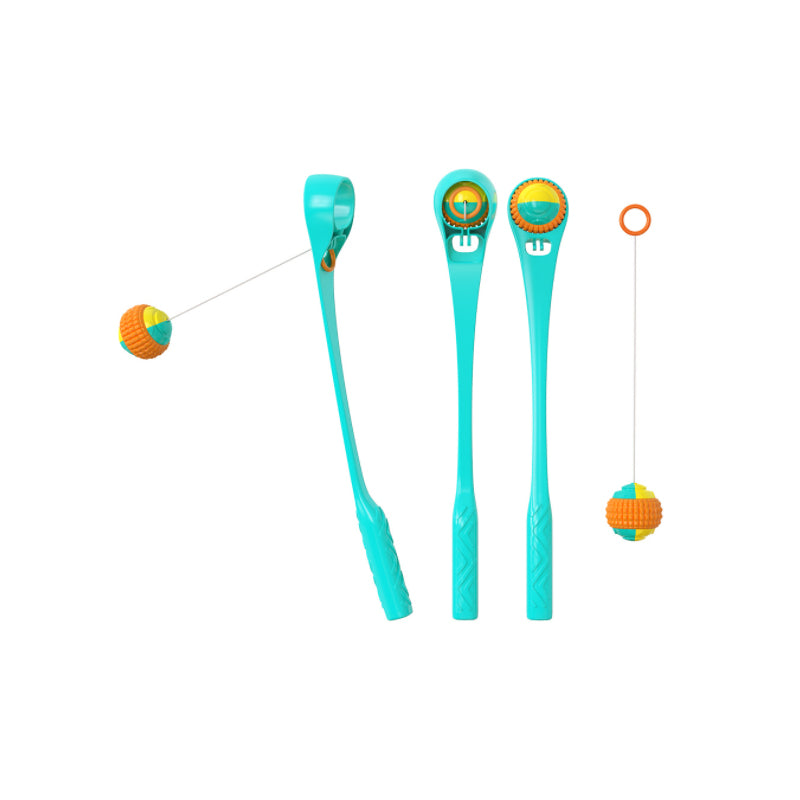 Interactive Creative Outdoor Dog Throwing Set