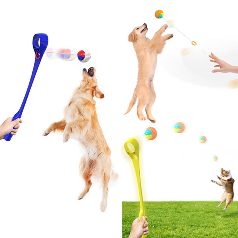 Interactive Creative Outdoor Dog Throwing Set