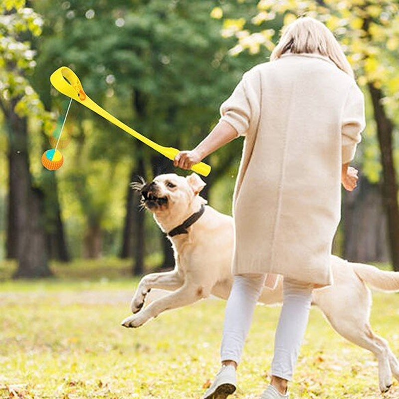 Interactive Creative Outdoor Dog Throwing Set