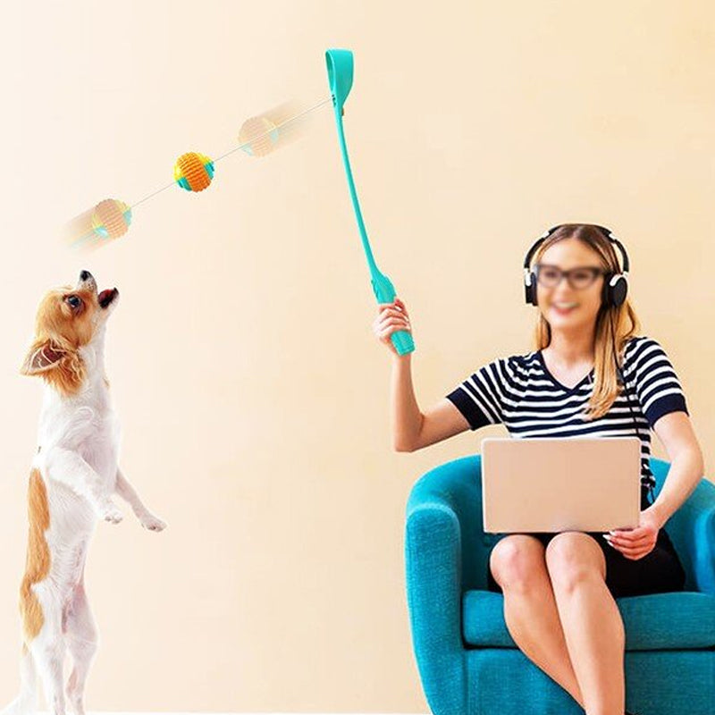 Interactive Creative Outdoor Dog Throwing Set