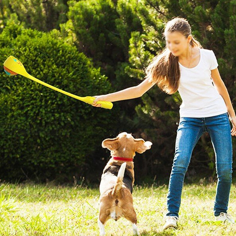 Interactive Creative Outdoor Dog Throwing Set