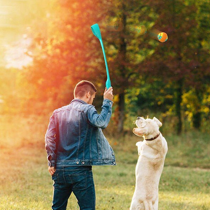 Interactive Creative Outdoor Dog Throwing Set