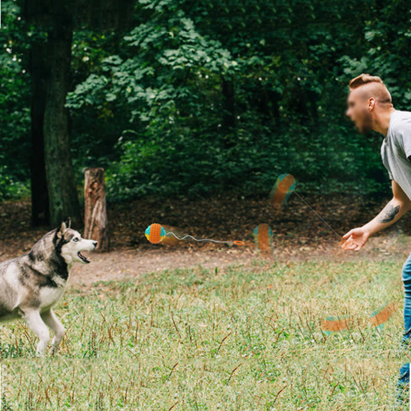 Interactive Creative Outdoor Dog Throwing Set