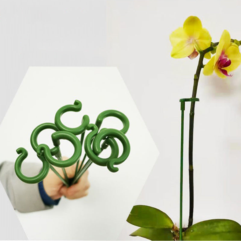 Single Plant Stem (10pcs)