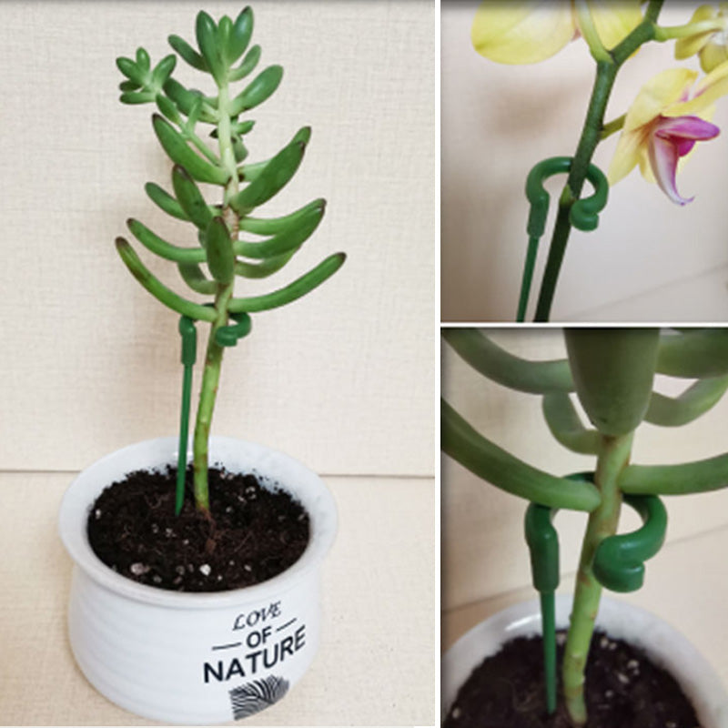 Single Plant Stem (10pcs)