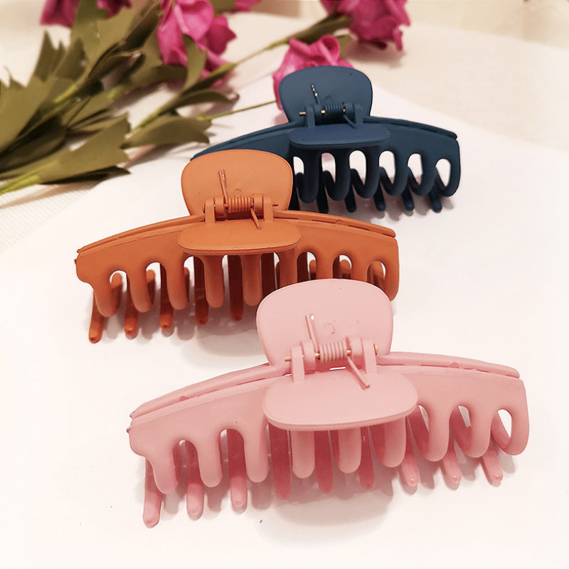 Color Frosted Hair Claw Clip