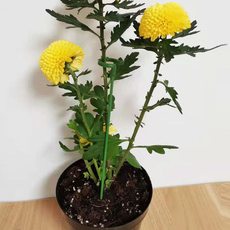 Single Plant Stem (10pcs)