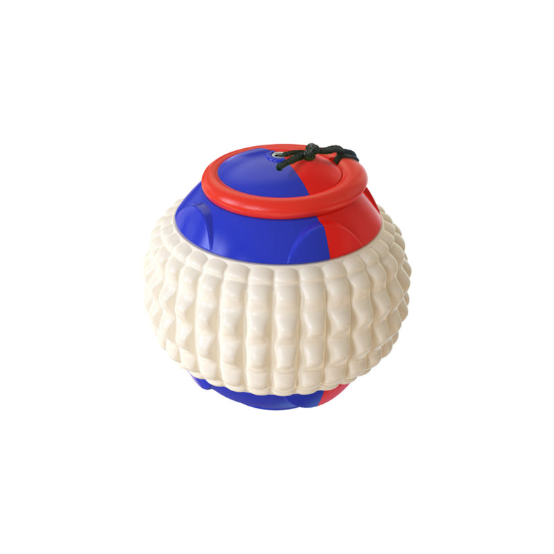 Interactive Creative Outdoor Dog Throwing Set