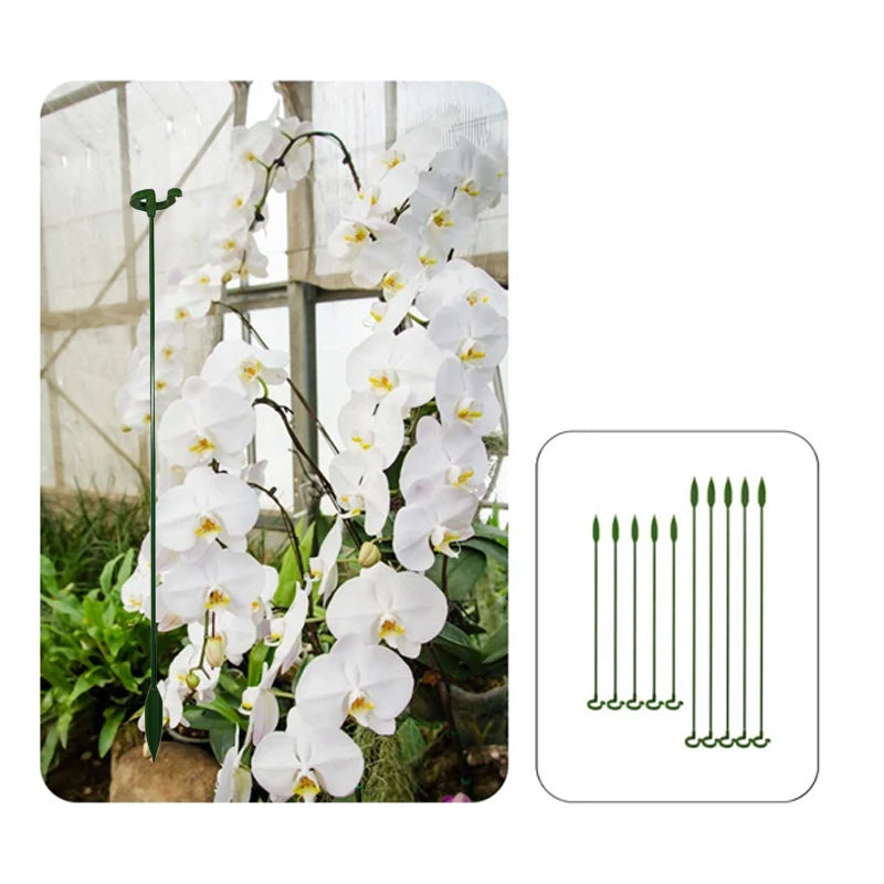 Single Plant Stem (10pcs)