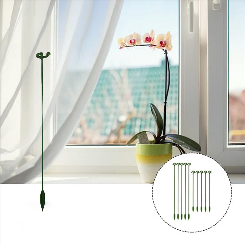 Single Plant Stem (10pcs)