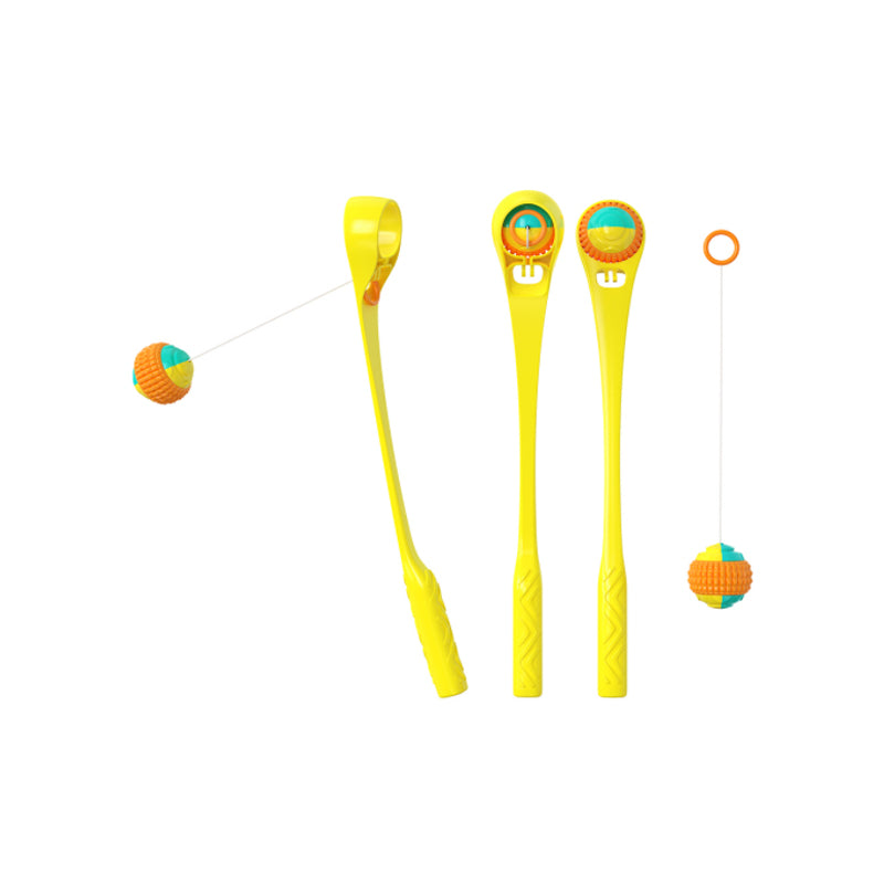 Interactive Creative Outdoor Dog Throwing Set