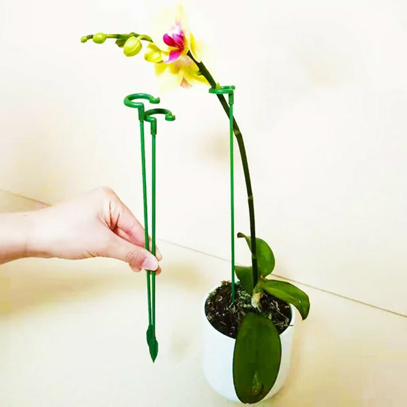 Single Plant Stem (10pcs)
