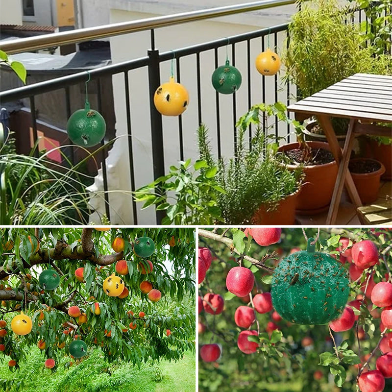 Hanging Environmental Fruit Fly Traps Sticky Traps