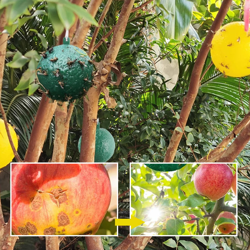 Hanging Environmental Fruit Fly Traps Sticky Traps